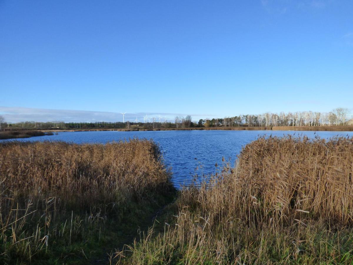 Uckermark "Ferienwohnung Sommerfugl " Passow  Exterior foto