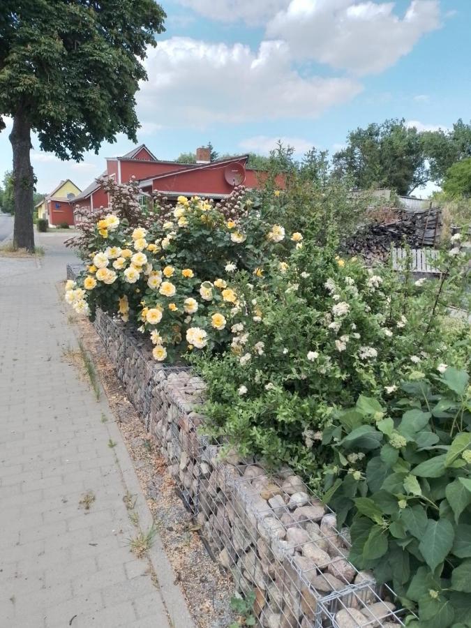 Uckermark "Ferienwohnung Sommerfugl " Passow  Exterior foto